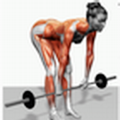 sixty-muscle-gif icon