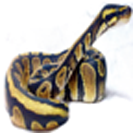 Ball Pythons icon