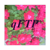 Wifi FTP Server icon
