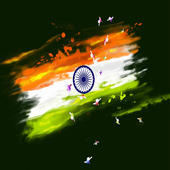 Indian Browser 4G icon