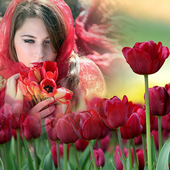 ikon Tullip Photo Frames