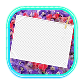 Photo Editor - Transparent icon