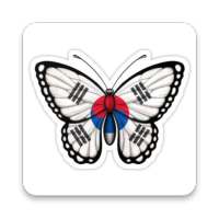 Daily Korean Learning FREE App