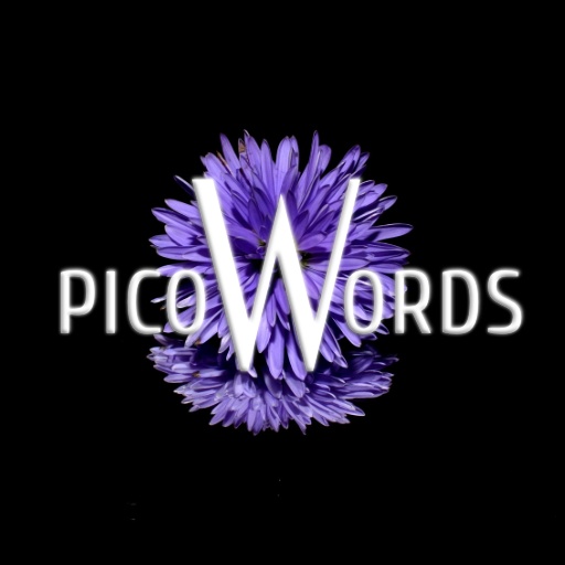 Pico-Wörter icon