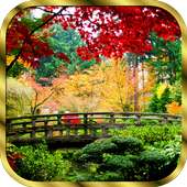 Nature Live Wallpaper on 9Apps