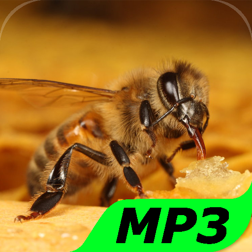 Bee Sounds icon