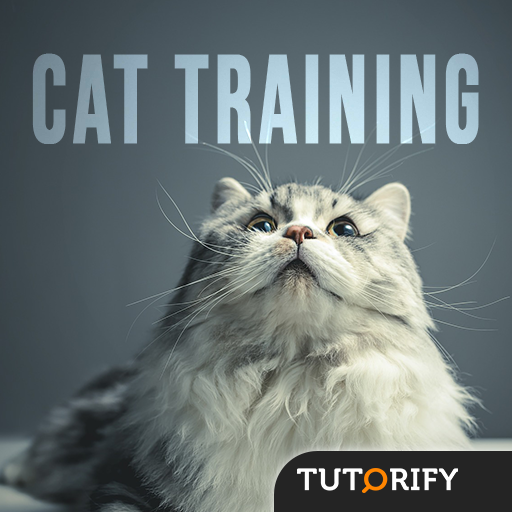 Cat Training - Tips and Knowledge icon