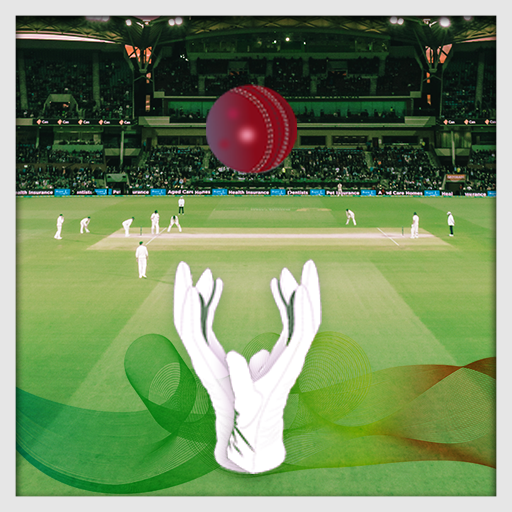 Cricket Catcher icon