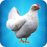 My Chicken Simulator