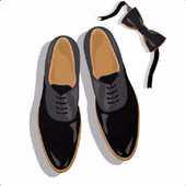 Branded Shoes Designs icon