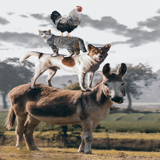 Animal Sound Game icon