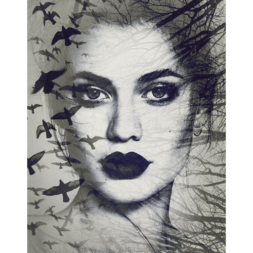 Photo Blending Art Effect - Double Exposures icon