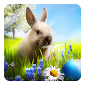 Easter Bunny Live Wallpaper icon