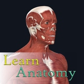 Learn Anatomy icon