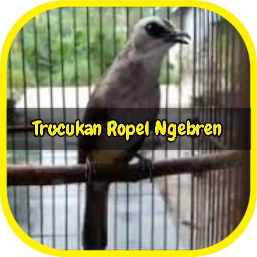 Kicau Trucukan Ngropel Ngebren icon