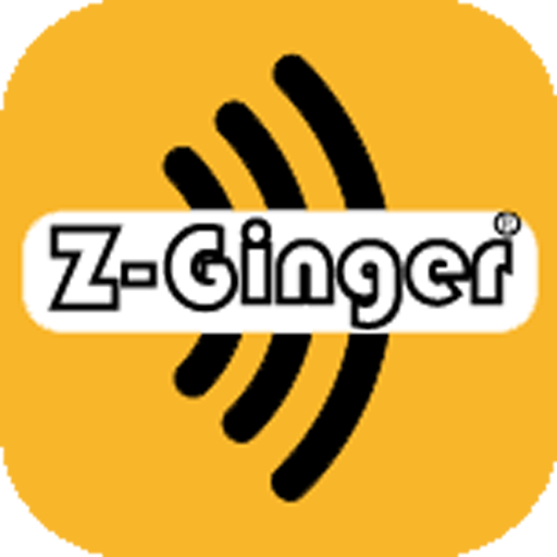 ZGinger Mini icon