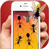 Ants in Phone Insect Crush icon
