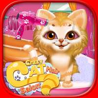 Crazy Kitty Cat Salon & Kitty Daily Activity Game