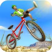 Bicycle Freestyle Stunt Master