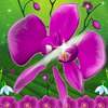 Best Flower Slash