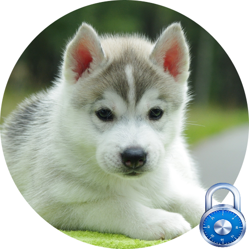 Siberian Husky Lock Screen icon