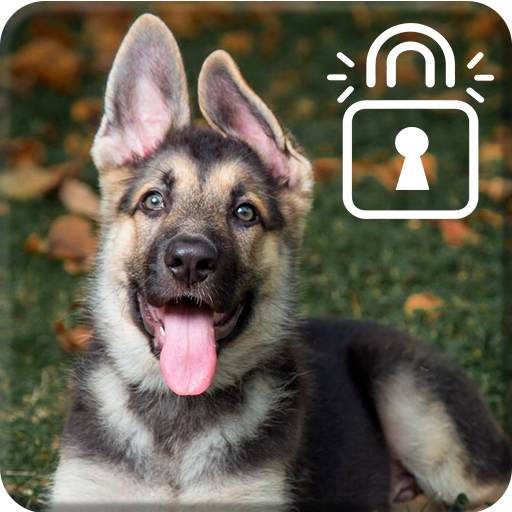 Dog Shepherd Puppy Little Pet Screen Lock icon