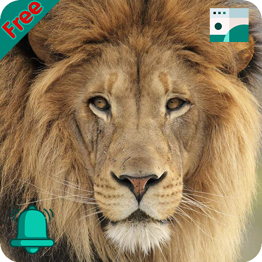 Natural Animal Sounds and HD Wallpaper icon