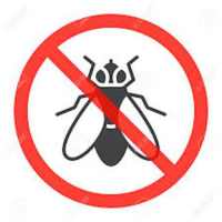 Pest Control on 9Apps