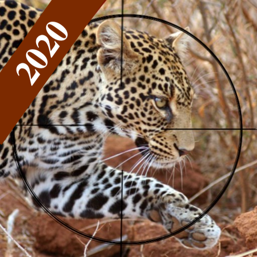 Forest Animal Wild Simulator icon