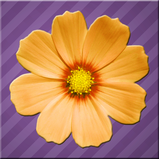Flowers Quiz icon