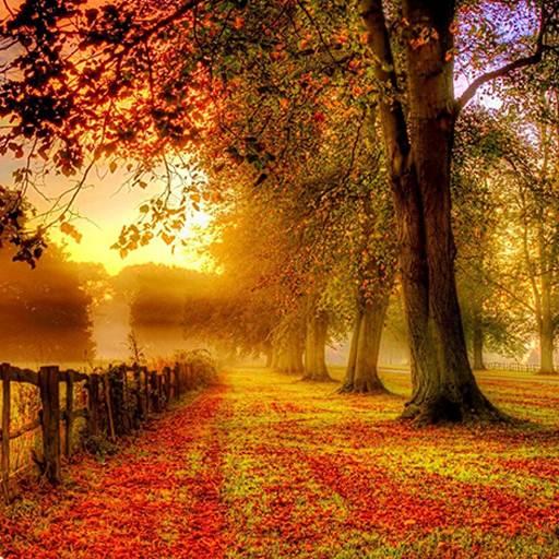 Autumn Wallpaper HD icon