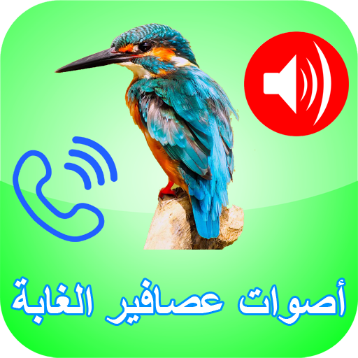 أصوات الطيور و العصافير بدون نت - أصوات الغابة أيقونة