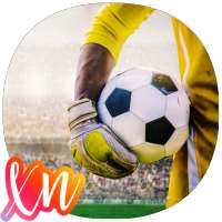 Soccer Goalkeeper Training (Guide)