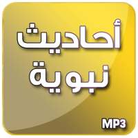 أحاديث نبوية - صوت on 9Apps