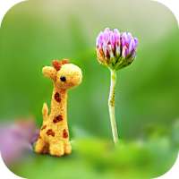 DSLR Camera Effect Maker