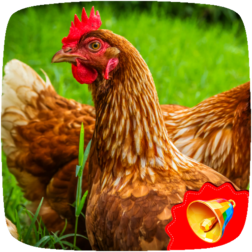 Chicken Sounds icon