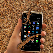 Lizard Live Pro icon