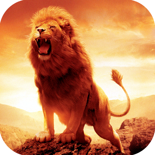 Lion HD Wallpapers icon