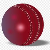 OLW Cricket icon