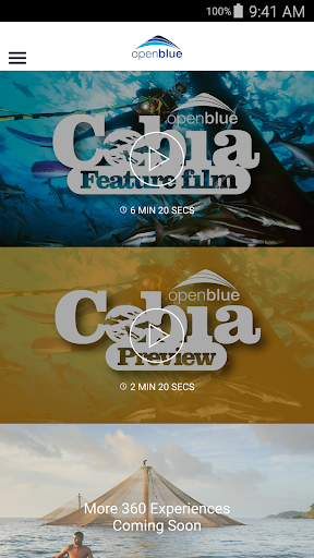 Open Blue screenshot 1