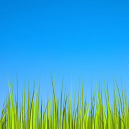 Grass LWP [Revamped] icon