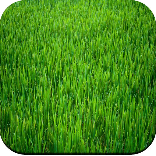 Grass wallpaper icon