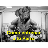 Como Entrenar a Tu Perro icon