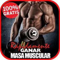 Cómo Aumentar Masa Muscular on 9Apps