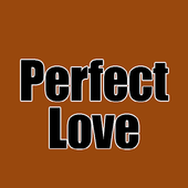 Perfect Love Song icon