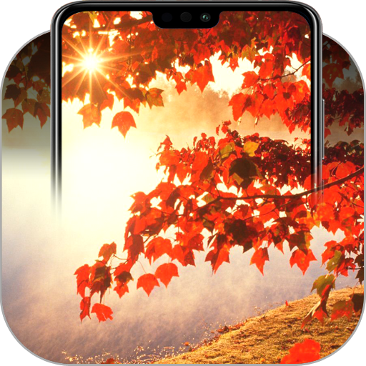 Autumn Wallpapers icon