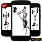 💗 Learn To Build Muscle 💗 icon