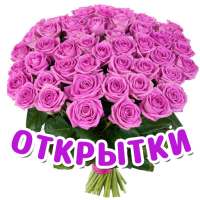 Открытки на все случаи жизни