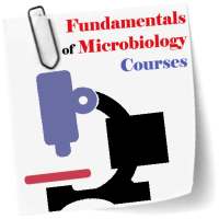 Fundamentals of Microbiology C on 9Apps