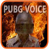 Ringtone Pubg Voice on 9Apps